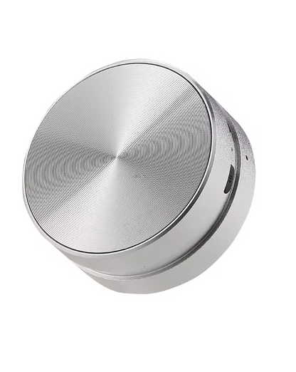 Hummingbird Sound Speaker
