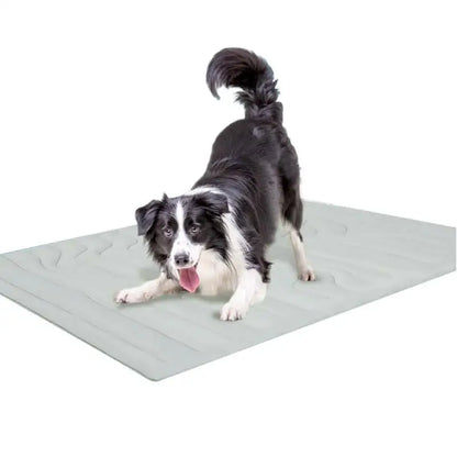 Chill Buddy™ Cooling Mat
