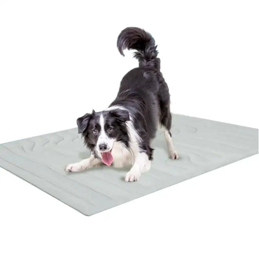 Chill Buddy™ Cooling Mat